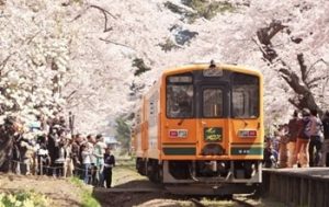 ゴールデンウィークの東北旅行 空いてる穴場のおすすめ桜と温泉でゆったり Hide Diary