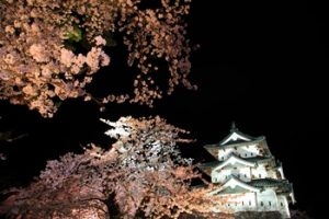 弘前城 夜桜