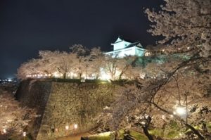 津山城鶴山公園の桜ライトアップ