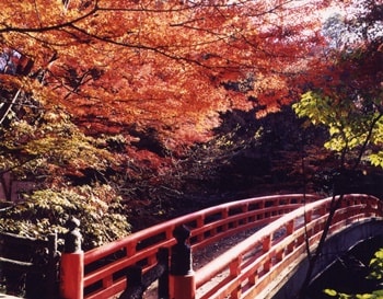 岩屋堂公園の紅葉の見頃とライトアップ 駐車場情報 日帰り温泉でゆったり Hide Diary