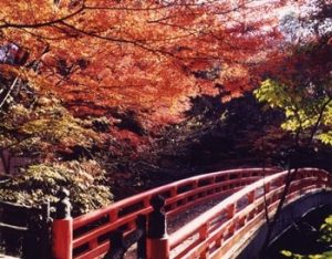 岩屋堂公園 紅葉の画像
