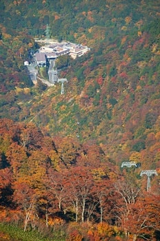 谷川岳 紅葉の写真