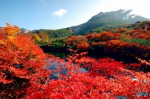 那須高原の紅葉の写真