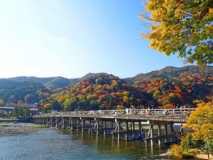 京都嵐山の紅葉の画像