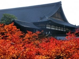 京都駅周辺の紅葉の穴場-画像